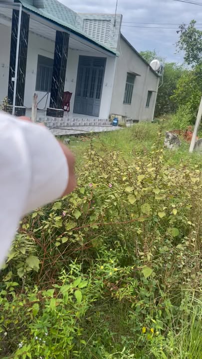 Đất nền Trảng Bàng Tây Ninh 900m² giá 1.3 tỷ - Đầu tư sinh lời ngay!