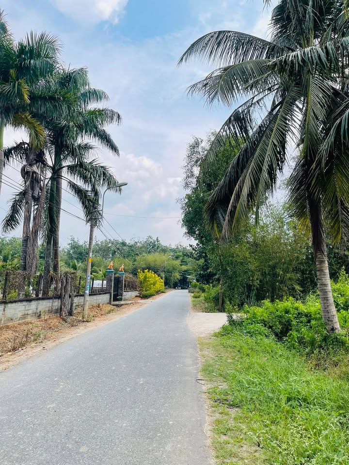 Đất nền xã An Nhơn Tây, Củ Chi 147,5m² giá 1.55 tỷ - Đầu tư sinh lời ngay!