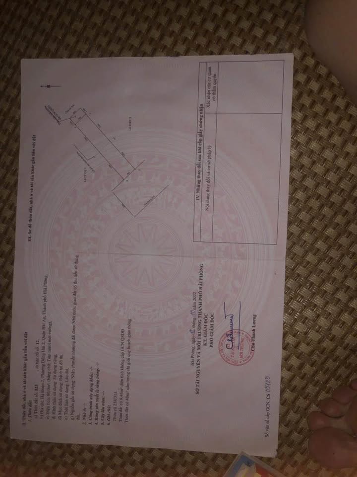 Đất mặt đường Đình Vũ, Đông Hải, Hải An 80m² giá 3.2 tỷ - Sổ đỏ chính chủ!