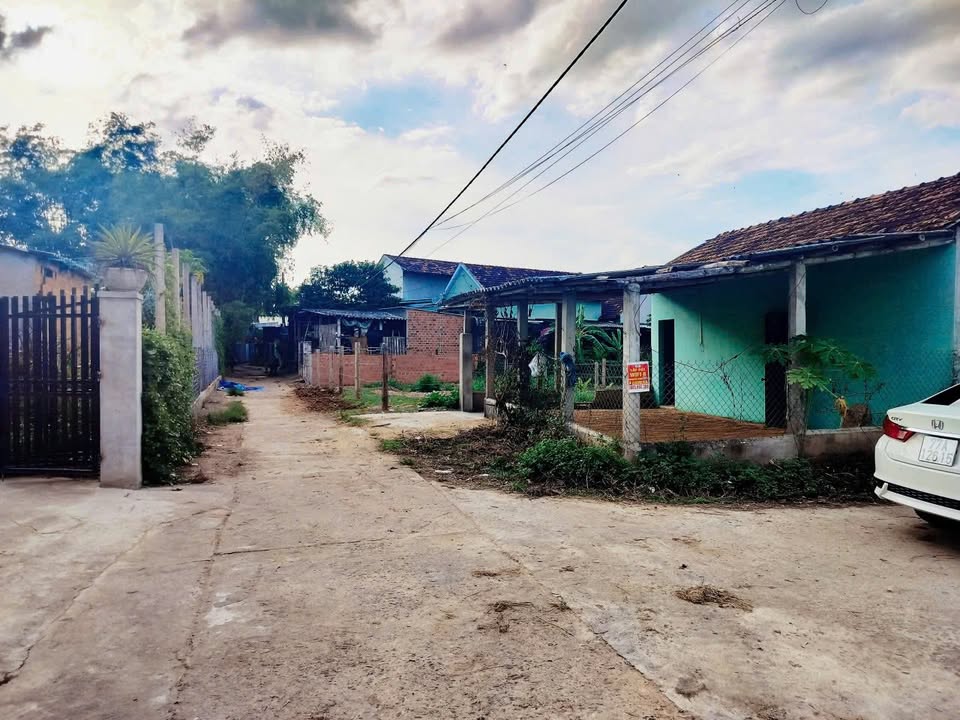 Đất nền thôn An Hoà, xã Nhơn Khánh, giá chỉ 300 triệu - Đầu tư sinh lời ngay!