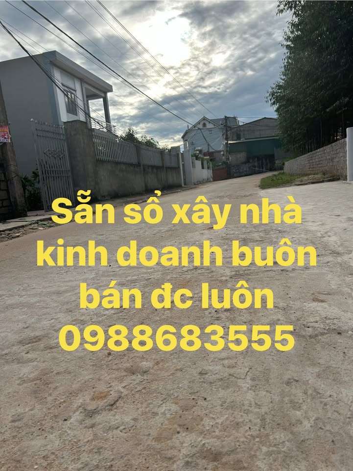 Đất nền chính chủ Lục Nam Bắc Giang 250m² giá 1.7 tỷ - Vị trí đắc địa, tiềm năng phát triển!