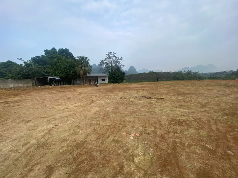 Đất Liên Sơn, Lương Sơn, Hòa Bình 20,000m² - Cơ hội đầu tư lý tưởng!