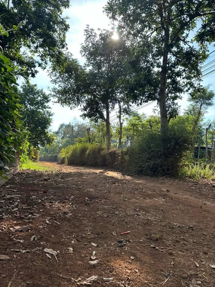 Đất nền Cư Kuin 290m² giá 420 triệu - Đối diện Ủy ban xã Ea Bhốk!