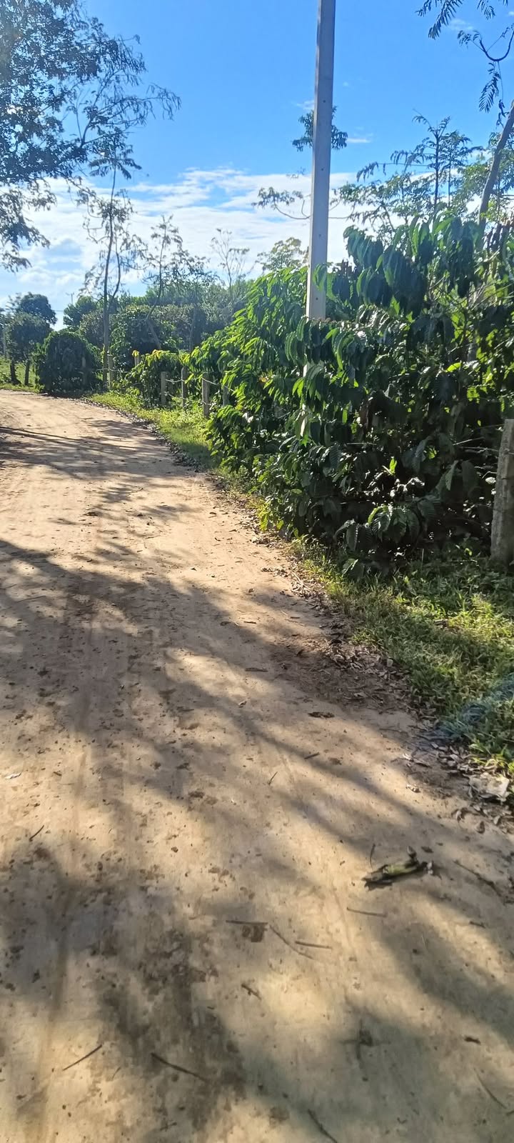 Đất trang trại Dray Bhăng 60048m² giá 2.14 tỷ - Chủ trương quy hoạch rõ ràng!