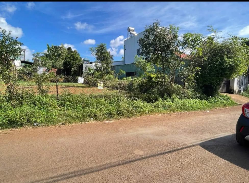 Bán đất mặt tiền Bùi Viện, Phường An Phú, Pleiku 100m² - Đầu tư sinh lời ngay!