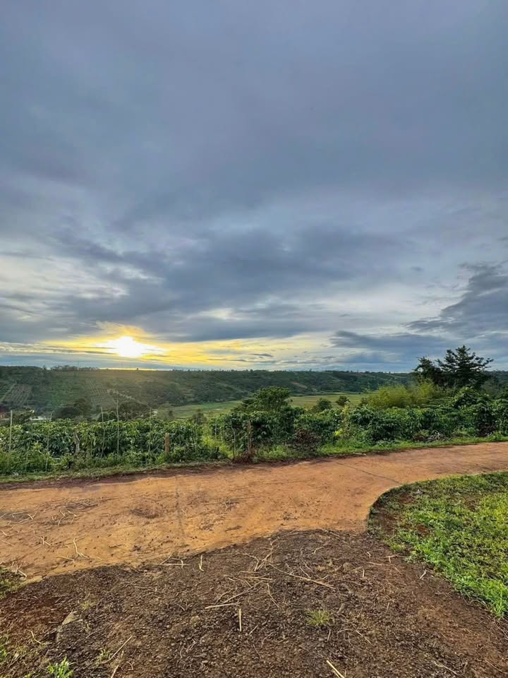 Đất nền Ia Der 770m² giá 1.19 tỷ - Đầu tư sinh lời tốt!