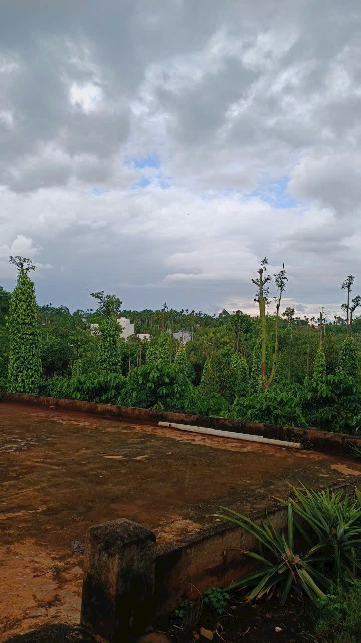 Đất nông nghiệp 12000m² tại Hòa Thắng, Buôn Ma Thuột - Giá chỉ 1.408 tỷ!