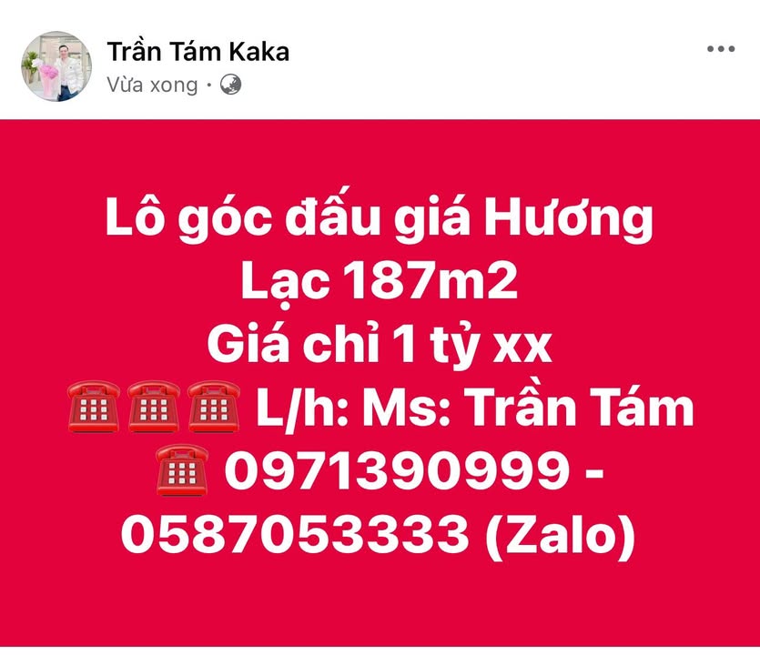 Đất nền Hương Lạc 187m² giá chỉ 1 tỷ - Cơ hội đầu tư tuyệt vời!