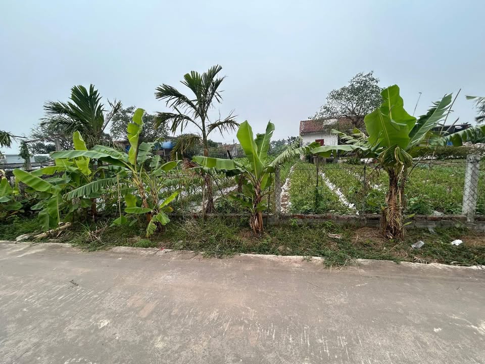 Đất nền Xóm 6 Nam Điền 800m² - Giá thỏa thuận, vị trí đắc địa!