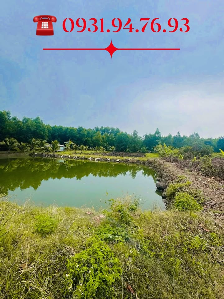 Đất nền 1200m² tại An Viễn, Trảng Bom - Sổ hồng chính chủ, giá chỉ 1.1 tỷ!