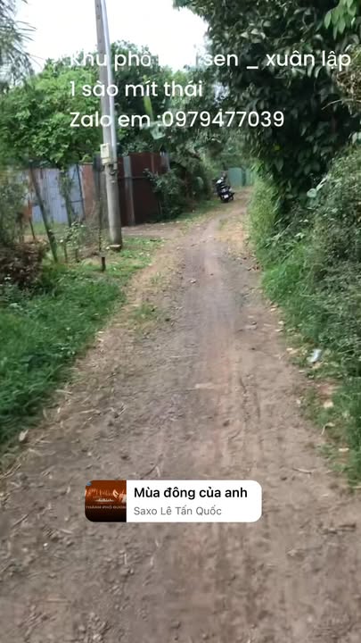 Farm 1 sào Khu phố Bàu Sen, Xuân Lập giá 1.5 tỷ - Đầu tư sinh lời ngay!