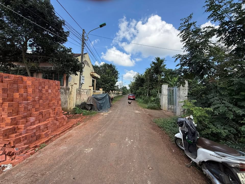 Bán lô biệt thự mặt tiền đường Nguyễn Xuân Nguyên 370m² giá 3.65 tỷ - Vị trí đắc địa, đầu tư sinh lời!