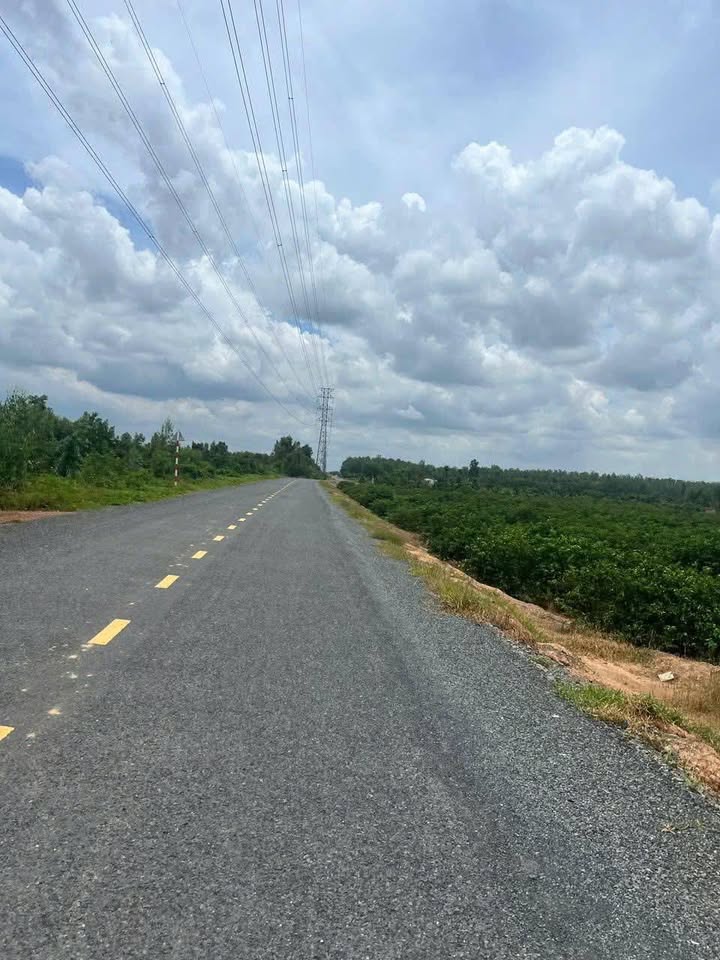 Đất vườn 3585m² tại ấp 4, Thạnh Lợi, Bến Lức - Giá chỉ 1.075 tỷ!