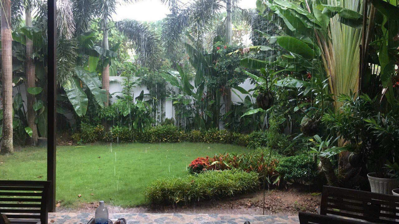 Đất nền Cây Thông Ngoài, Phú Quốc 500m² giá chỉ 2 tỷ - Cơ hội đầu tư tuyệt vời!