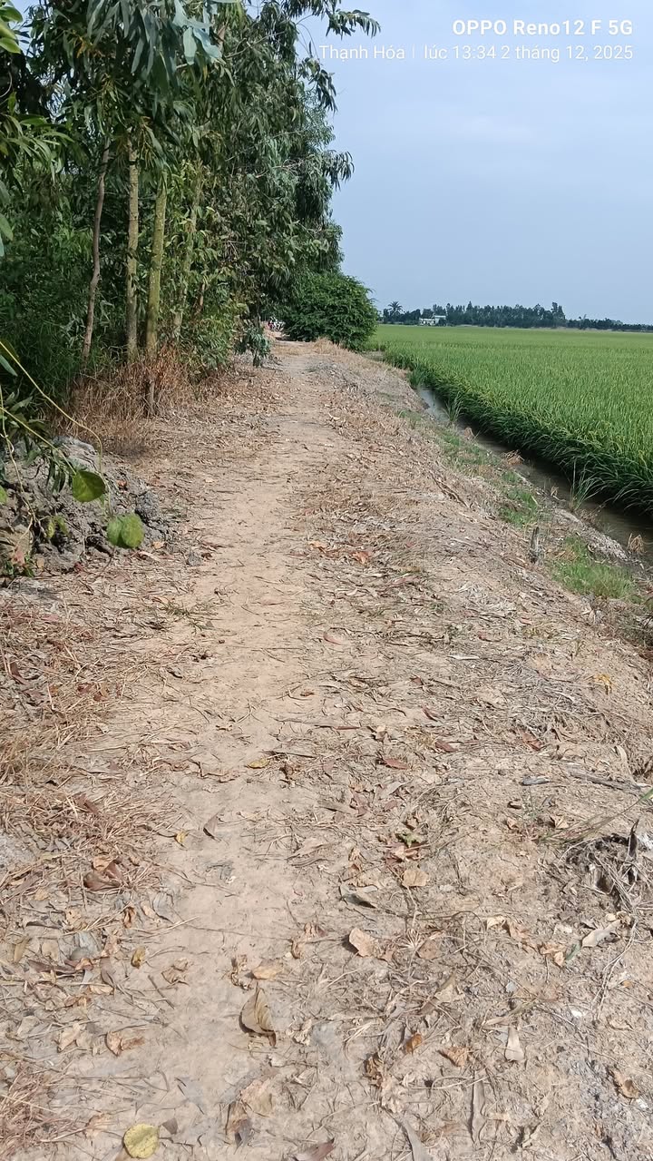 Đất thổ cư xã Thủy Tây 92.000m² giá 7.36 tỷ - Cơ hội đầu tư sinh lời!