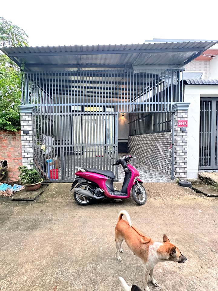 Nhà trệt hẻm 26 Thái Thị Nhạn, 100m² giá 5 triệu - Tiện ích đầy đủ, an ninh tốt!