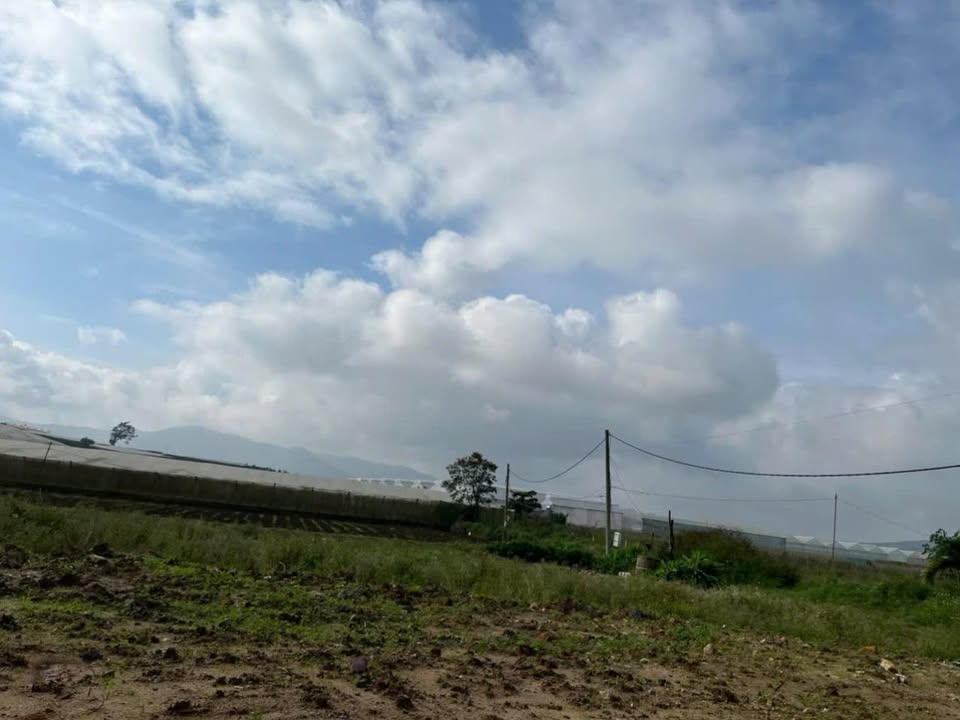 Đất nền Quảng Lập, Đơn Dương 145m² giá 430 triệu - Không thể bỏ lỡ!