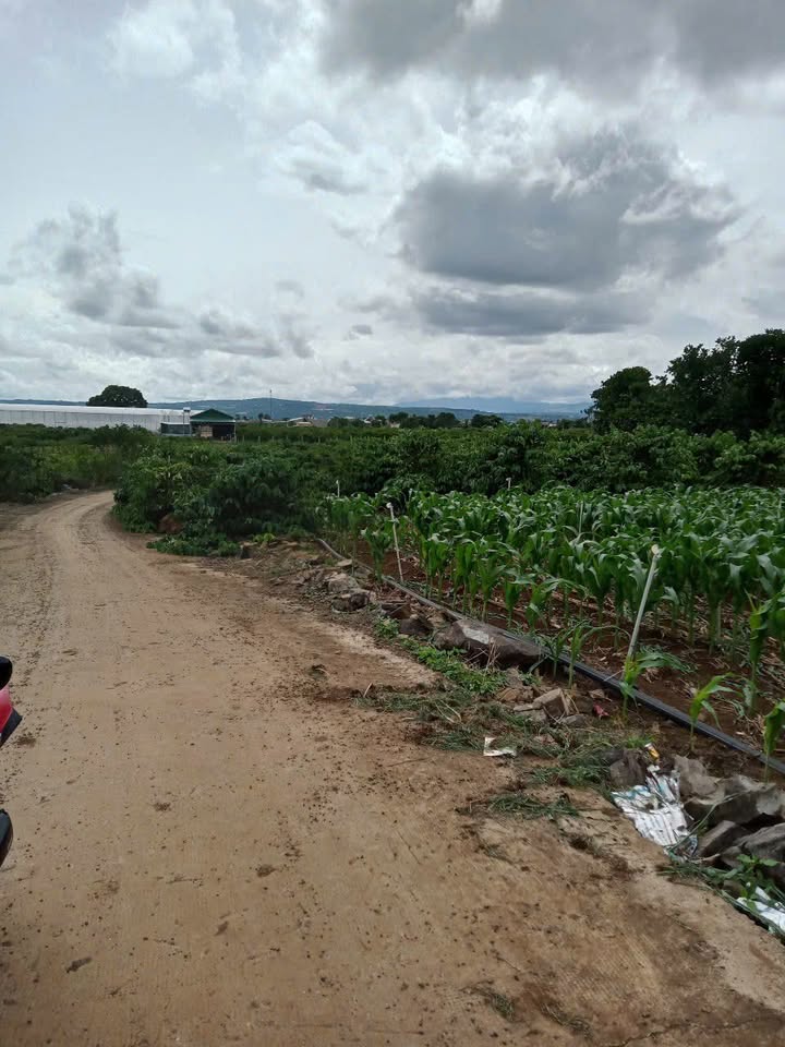 Đất nền Tân Hội, Đức Trọng 14400m² giá 3 tỷ - Đầu tư sinh lời ngay!