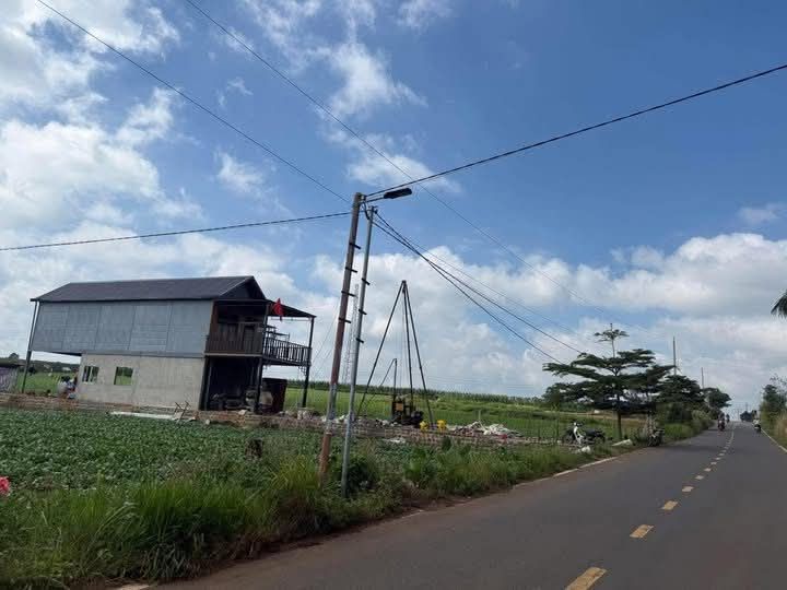 Đất thổ cư 81m² mặt đường DH1, Đức Trọng chỉ 1.05 tỷ - Bán gấp trong 10 ngày!