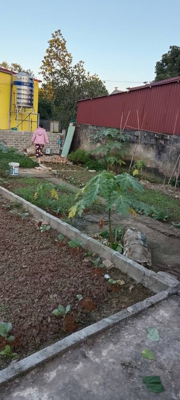 Đất nền Đoàn Đào, Phù Cừ 73m² giá 700 triệu - Đầu tư sinh lời ngay!