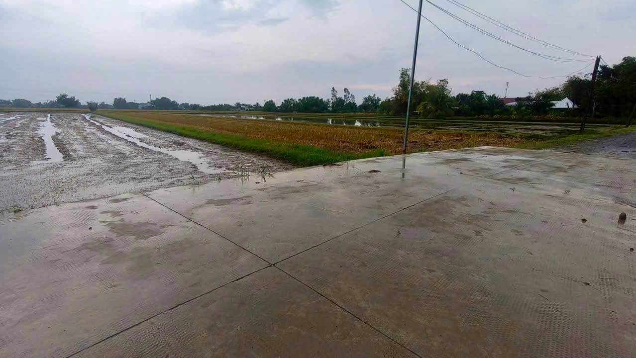 Đất nền ấp Giồng Lớn, Mỹ Hạnh Nam 6000m² giá 6 tỷ - Sổ hồng riêng chính chủ!