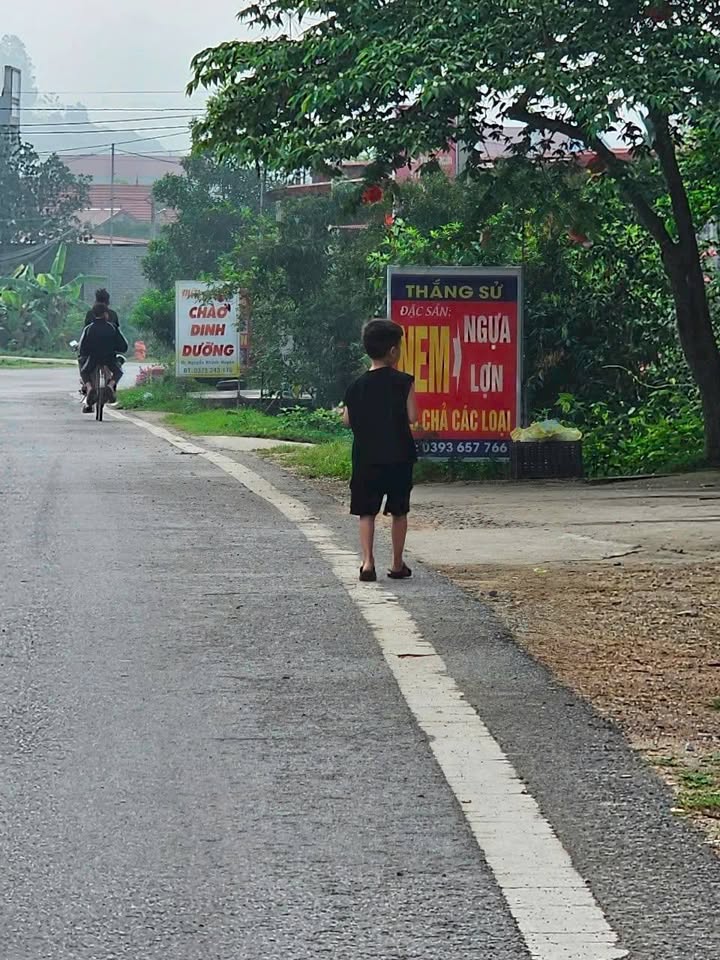 Đất mặt tiền đường 289, xã Nam Dương, Lục Ngạn, Bắc Giang 200m² - Tiềm năng kinh doanh lớn!