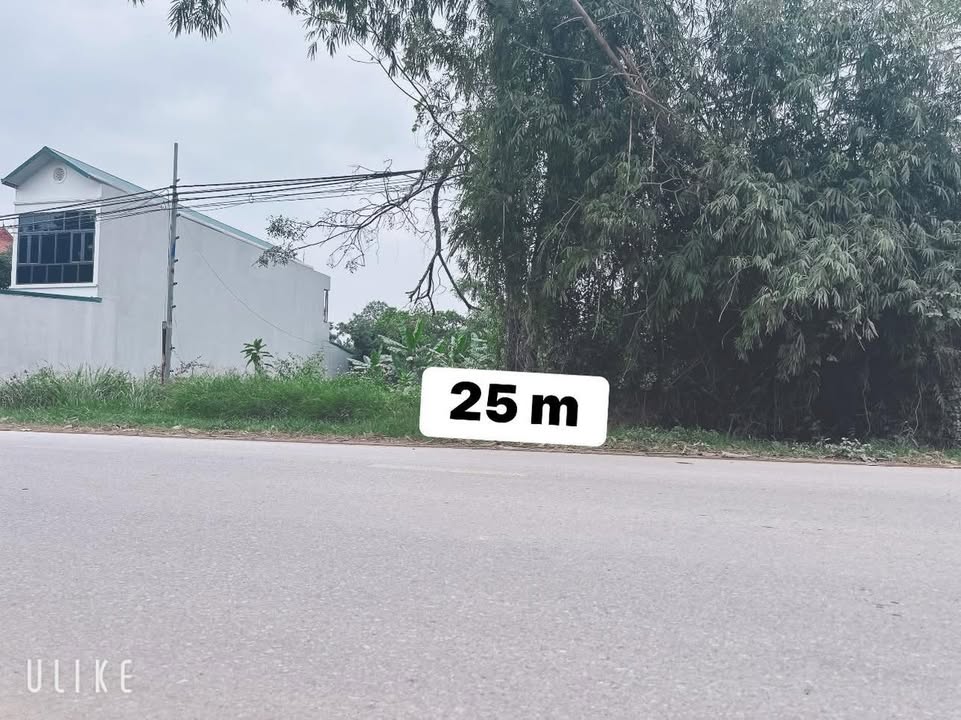 Đất thổ cư mặt đường QL37, thị trấn Kép, Bắc Giang 1237m² - Cần bán gấp!