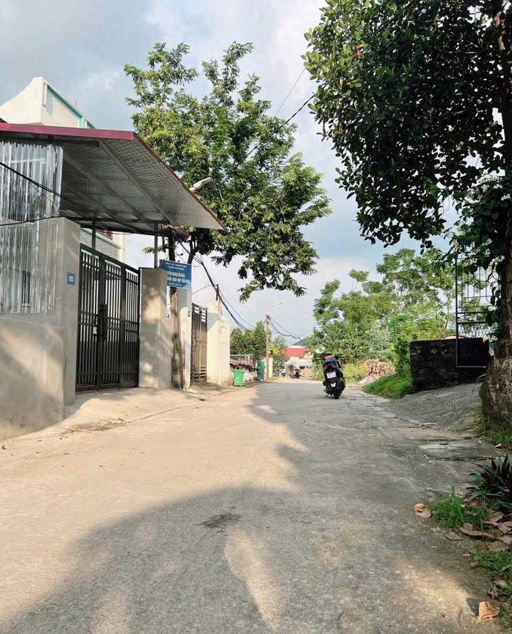 Đất nền Thanh Vân Tam Dương 120,7m² giá 1 tỷ - Đầu tư sinh lời hấp dẫn!