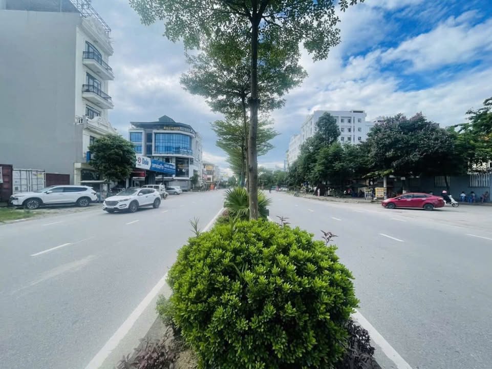 Đất lô góc mặt đường đôi 295 Từ Sơn 103m² giá 2 tỷ - Kinh doanh sầm uất!