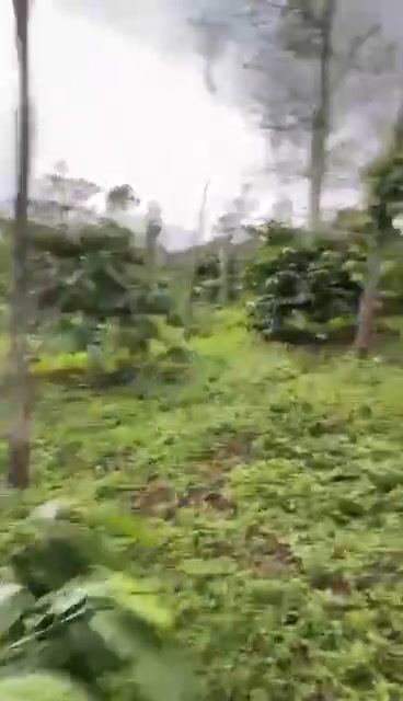 Đất nền Cư Bao, Thị xã Buôn Hồ 7200m² giá 270 triệu - Cơ hội đầu tư tuyệt vời!