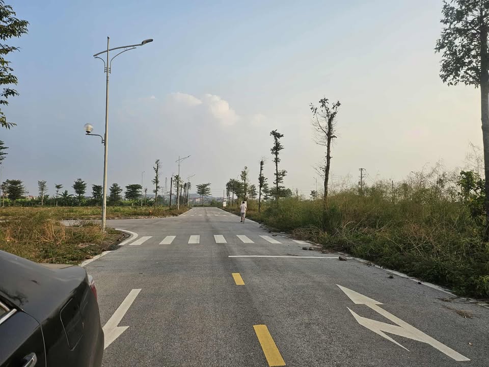 Đất dự án khu dân cư Đức Giang, Đồng Việt, Bắc Giang 90m² giá 3 tỷ - Tiềm năng đầu tư vượt trội!