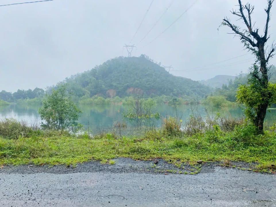 Đất lâm nghiệp 3000m² Hòa Nhơn, Hòa Vang - Tiềm năng lên đất ở 200m² chỉ 1.9 tỷ!