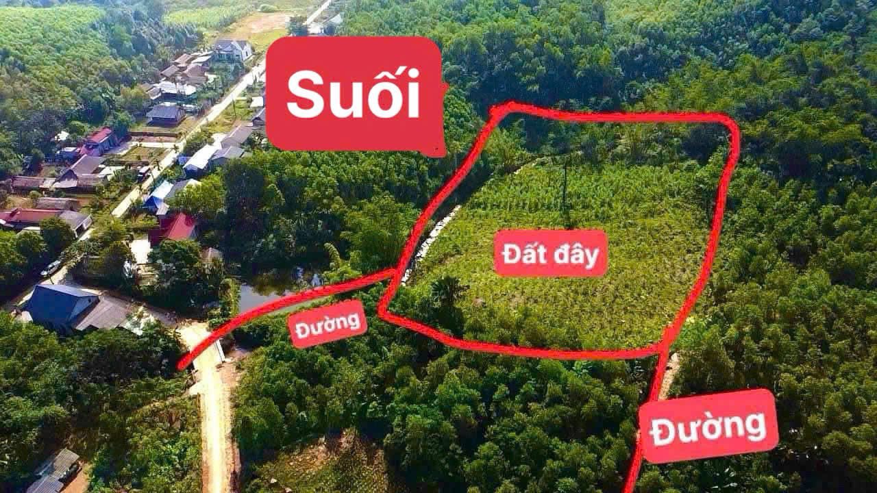 Đất vườn Tân Lập, Thanh Sơn 4000m² giá 399 triệu - Cảnh quan thơ mộng!