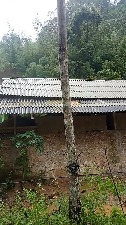 Đất Farm 9000m² tại Tân Pheo, Đà Bắc - Giá chỉ 90 triệu VND, không mặc cả!