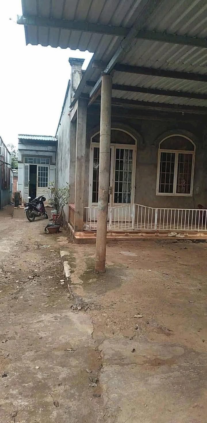 Nhà bán Phước Yên 235.6m² giá 900 triệu - Đối diện cây xăng Thanh Lâm