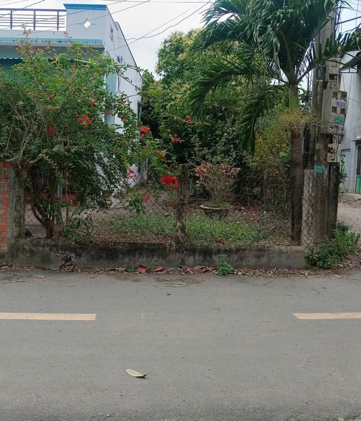 Đất nền Phước Lộc Tuy Phước 83m² giá 600 triệu - Mặt tiền đường nhựa, thuận tiện kinh doanh!