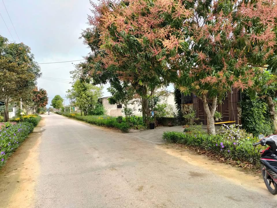 Đất mặt đường Lý Nam Đế, Cửa Lò 200m² giá 3.5 tỷ - Cơ hội đầu tư sinh lời!