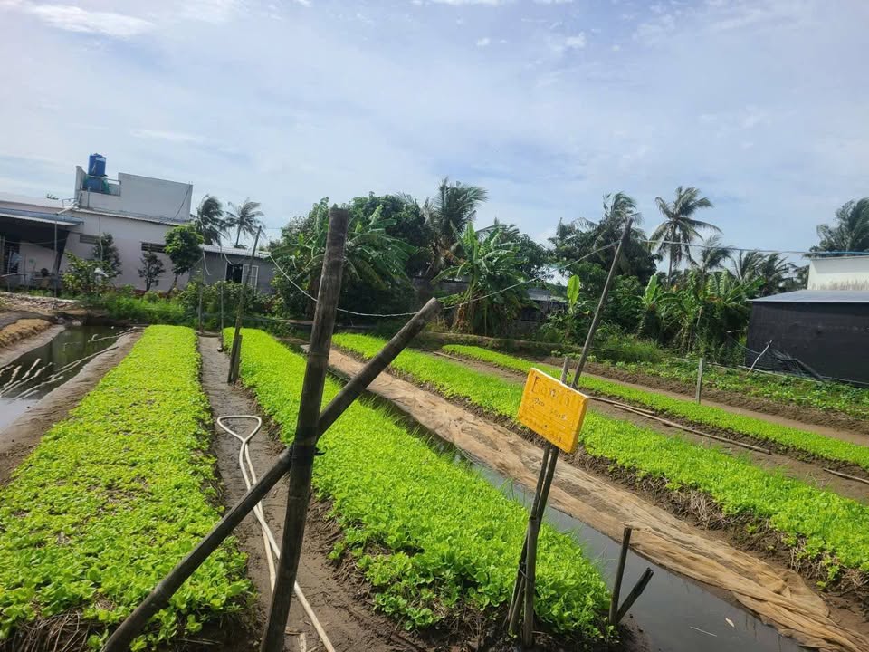 Đất nền Sư Vạn Hạnh, Rạch Giá 200m² giá thỏa thuận - Cơ hội đầu tư tốt!