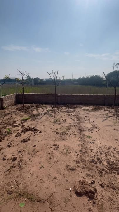 Đất vườn 595m² Vân Côn, Hoài Đức - Cơ hội đầu tư tuyệt vời!