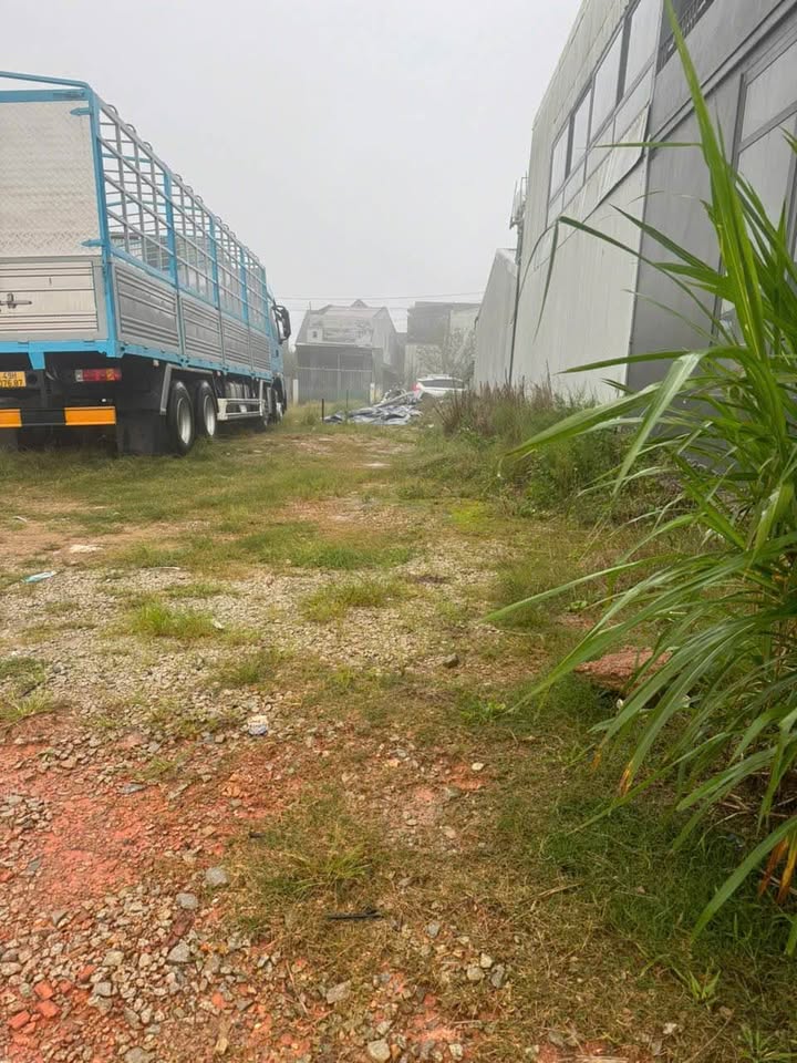 Lô đất Đà Lạt 100m² giá 3.2 tỷ - Đầu tư sinh lời ngay!