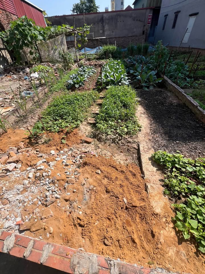 Đất nền 55m² Kim Thiều, Phù Khê, Bắc Ninh - Giá chỉ 1.2 tỷ - Sổ đỏ chính chủ!