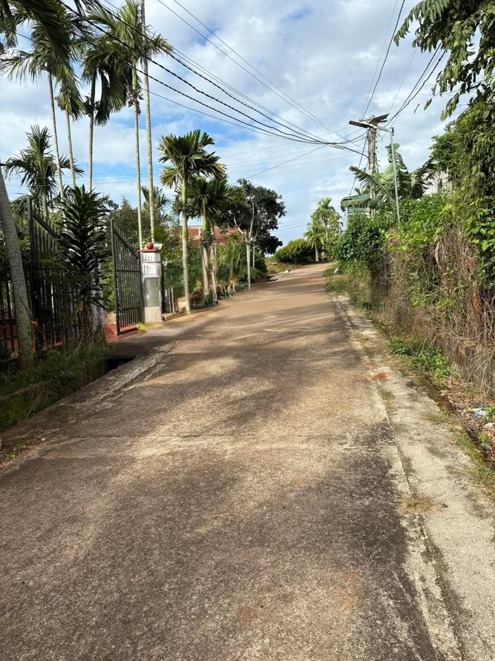 Đất nền thôn 8 đường Lương Thế Vinh, Buôn Hồ 75m² giá 1.4 tỷ - Đầu tư sinh lời ngay!