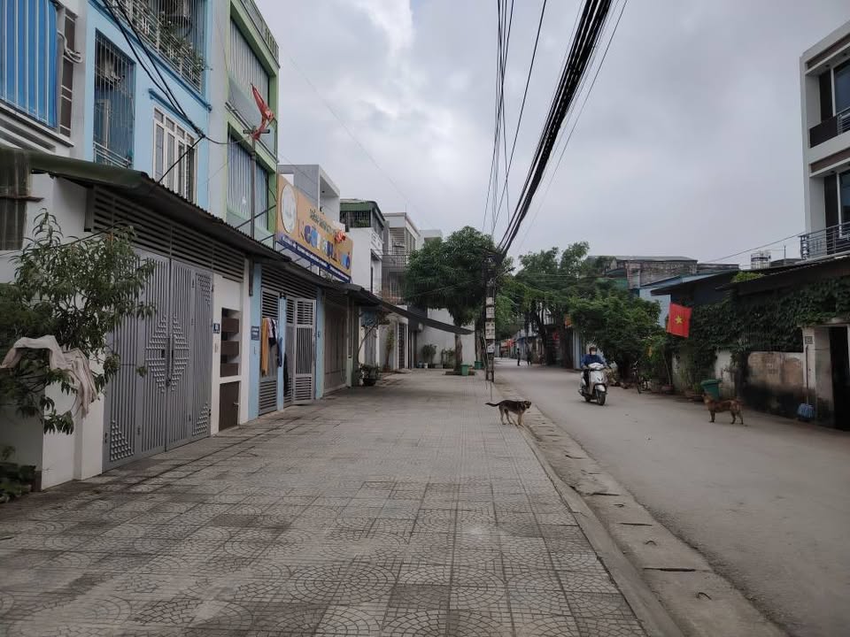 Đất nền Quảng Thắng Thanh Hóa 100m² - Sổ đỏ chính chủ, xây dựng tự do!