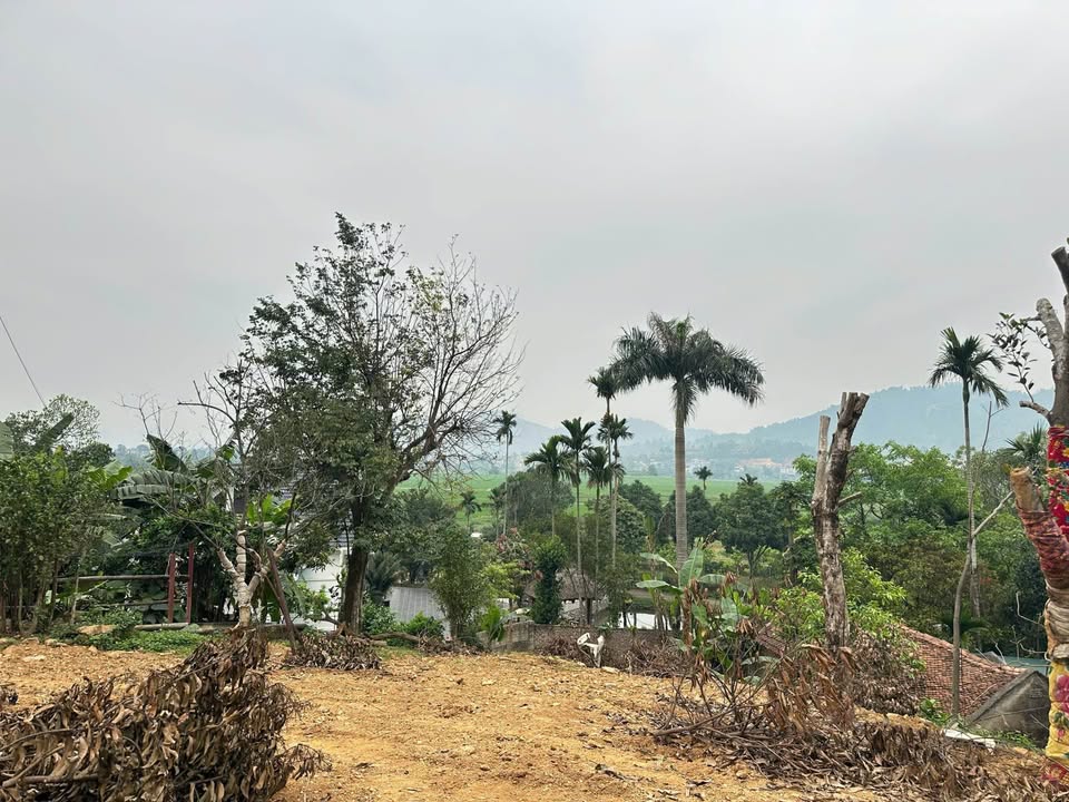 Đất nền Yên Xuân Thạch Thất 412m² giá đầu tư - Tiềm năng sinh lời cao!