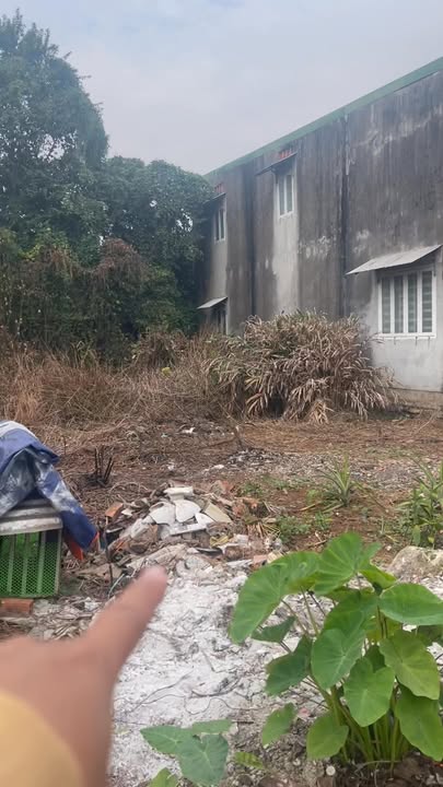 Đất thổ cư Hưng Thịnh, Trảng Bom 100m² chỉ 800 triệu - Cơ hội đầu tư hấp dẫn!