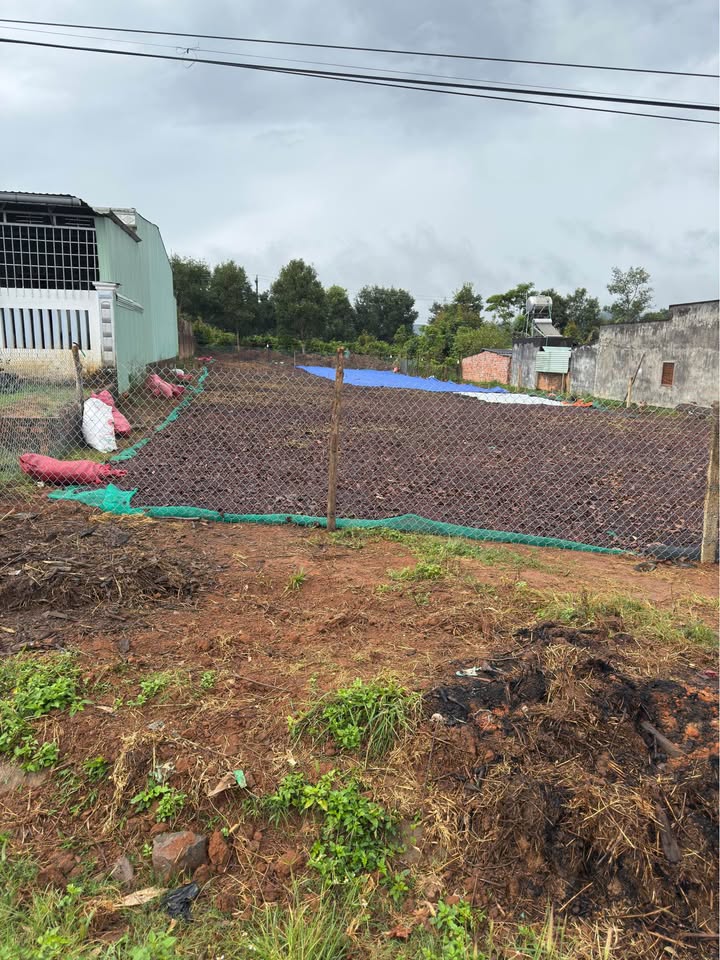 Đất thổ cư hướng Đông tại thôn 4, xã Diên Bình, 396m² chỉ 1 tỷ - Đầu tư sinh lời ngay!