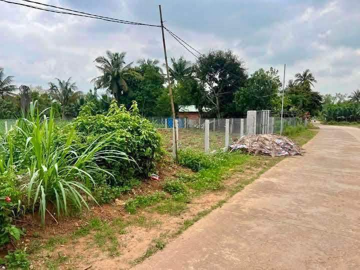 Mảnh vườn 350m² tại Hoài Hảo giá 100 triệu - Không gian lý tưởng cho thư giãn!