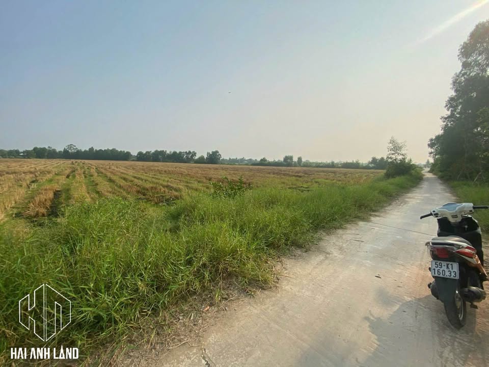 Bán đất Rạch Giá 1000m² giá chỉ 1.35 tỷ - Đường ô tô vào tận nơi!