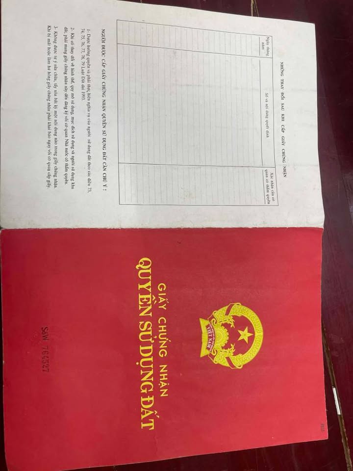 Đất nền Hòa Thọ Tây, Cẩm Lệ, Đà Nẵng 100m² giá 1.65 tỷ - Đầu tư sinh lời ngay!