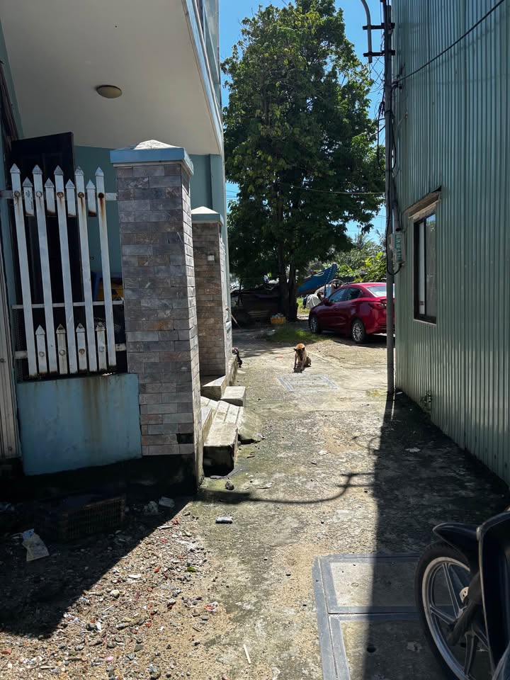 Đất gần biển Mân Thái, Sơn Trà 83m² giá 7 tỷ - Sẵn sàng tắm biển mỗi ngày!